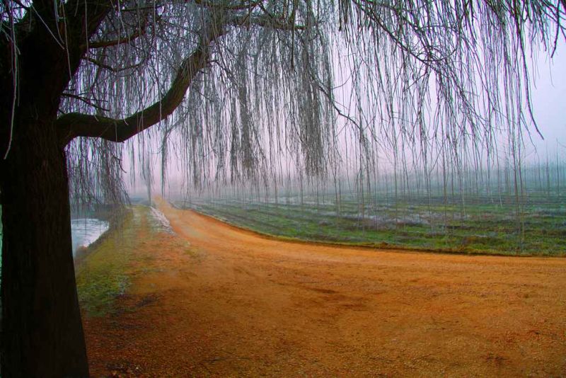 20inverno nella bassa veronese italy.jpg